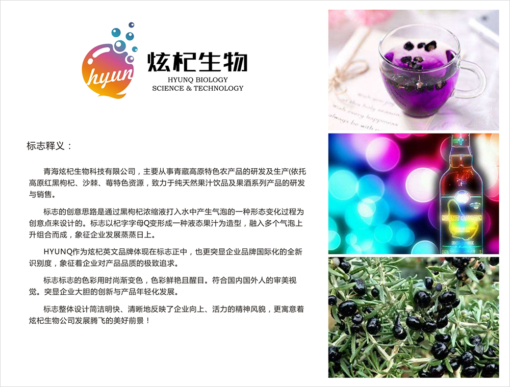 炫杞生物品牌VI設(shè)計(jì) 炫杞生物品牌VI設(shè)計(jì)