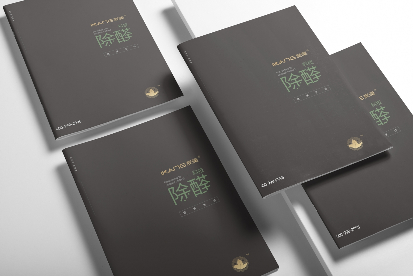 福州畫(huà)冊(cè)設(shè)計(jì)